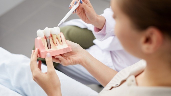 Dentist holding dental implant model